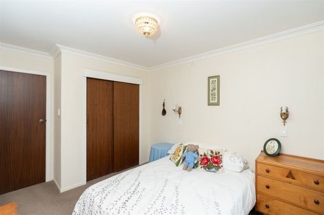 Photo of property in 117b Clarkin Road, Fairfield, Hamilton, 3214