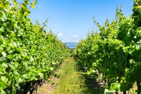 Photo of property in 34 Side Road, Haumoana, Hastings, 4180