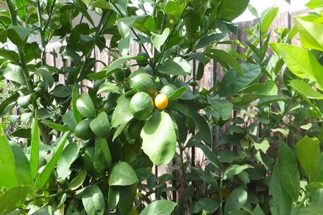 Photo of property in 3/16 Grove Road, Addington, Christchurch, 8024