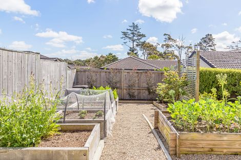 Photo of property in 9 Prospect Terrace, Mount Eden, Auckland, 1024