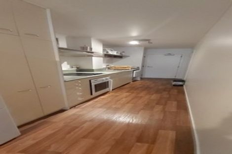 Photo of property in Dixonlane Apartments, 8/7 Feltex Lane, Te Aro, Wellington, 6011