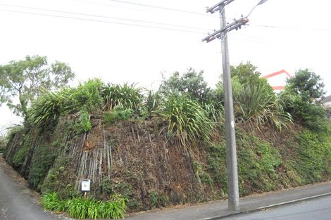 Photo of property in 39 Mill Road, Lower Vogeltown, New Plymouth, 4310