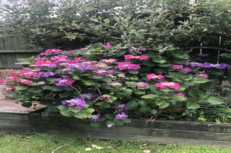 Photo of property in 317 River Road, Claudelands, Hamilton, 3214