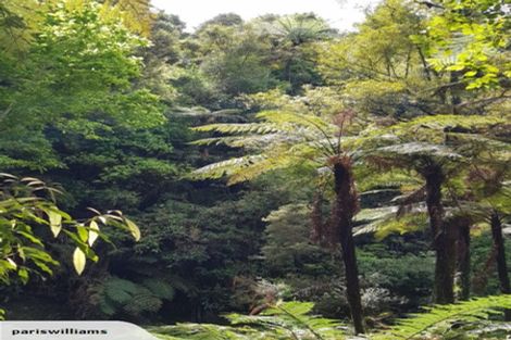 Photo of property in 137 Ross Road, Whakamarama, Tauranga, 3179