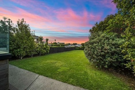Photo of property in 45 Formby Avenue, Point Chevalier, Auckland, 1022