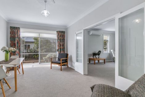 Photo of property in 22 Mckenzie Street, Levin, 5510