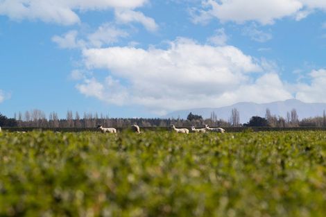 Photo of property in 197 Maindonalds Road, West Eyreton, 7475