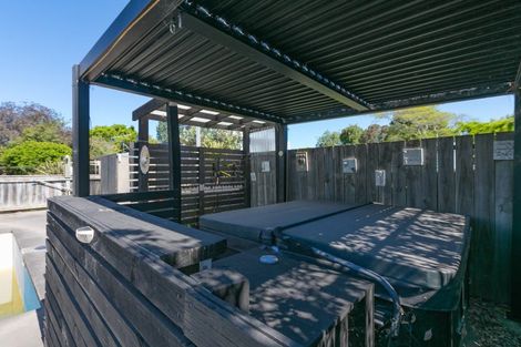 Photo of property in 41 Mcgreevy Street, Waipawa, 4210