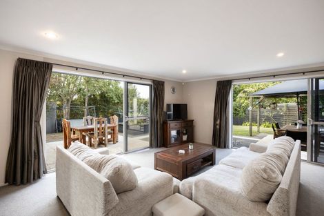 Photo of property in 22 Santiago Place, Flagstaff, Hamilton, 3210