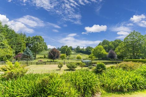 Photo of property in 159 Palmer Mill Road, Wairakei, Taupo, 3384