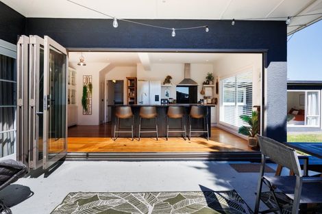 Photo of property in 59 Limbrick Street, Terrace End, Palmerston North, 4410