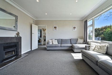 Photo of property in 700 Frederick Street, Mahora, Hastings, 4120