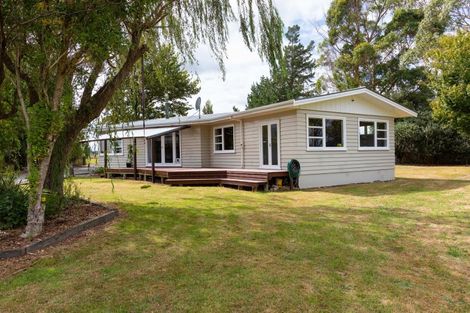 Photo of property in 61 Franklin Road, Woodville, 4999