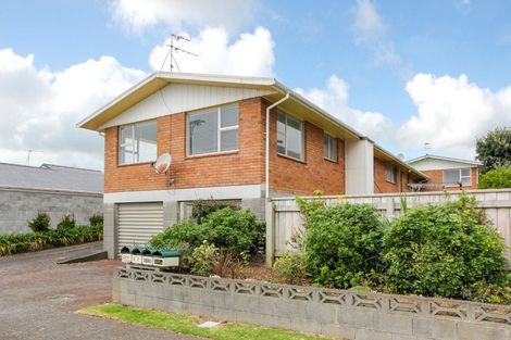 Photo of property in 256a Courtenay Street, Strandon, New Plymouth, 4312