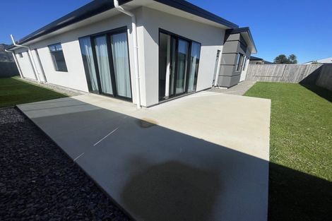 Photo of property in 16 Lotus Street, Appleby, Richmond, 7020
