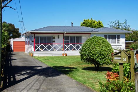 Photo of property in 61 Fergusson Street, Solway, Masterton, 5810