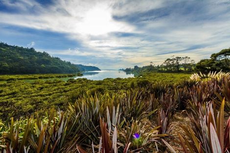 Photo of property in 107b Warman Road, Okura, Albany, 0792