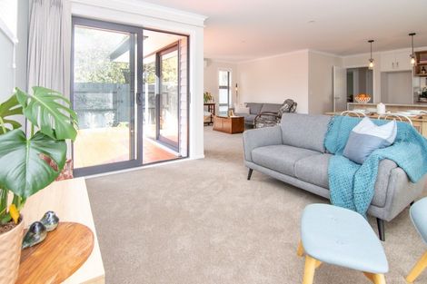 Photo of property in 532a Featherston Street, Roslyn, Palmerston North, 4414