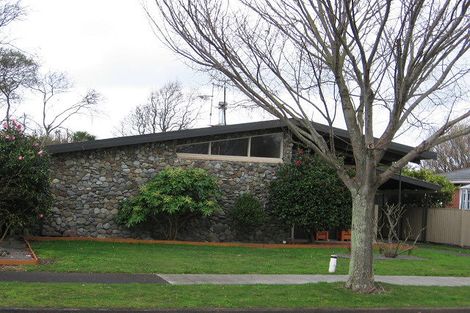 Photo of property in 41 Churchill Avenue, Hokowhitu, Palmerston North, 4410