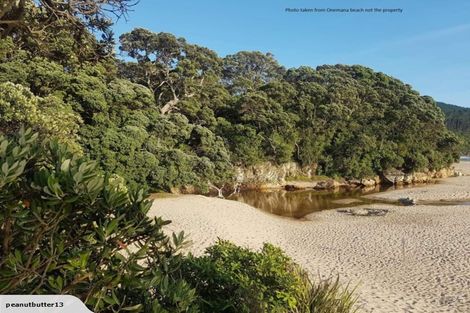 Photo of property in 212 Russell Bruce Place, Onemana, Whangamata, 3691