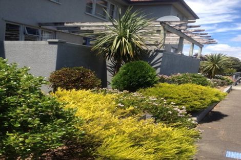 Photo of property in 16 Freyberg Street, Roslyn, Palmerston North, 4414