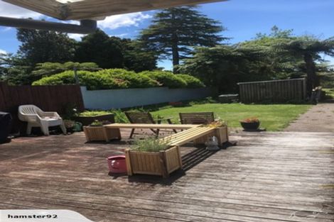 Photo of property in 12 Olivia Street, Stratford, 4332