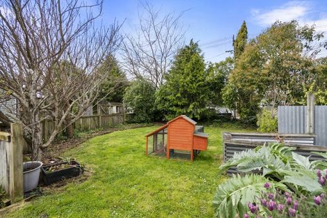 Photo of property in 193 Cambridge Avenue, Ashhurst, 4810