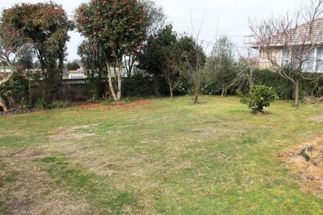 Photo of property in 101 Arapuni Street, Putaruru, 3411