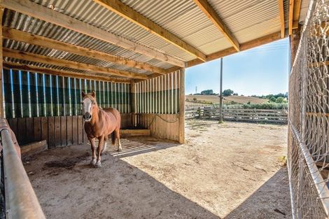 Photo of property in 164a Awahuri Feilding Road, Feilding, 4775