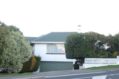 Photo of property in 48 Mailer Street, Mornington, Dunedin, 9011
