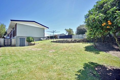 Photo of property in 58 Boucher Avenue, Te Puke, 3119