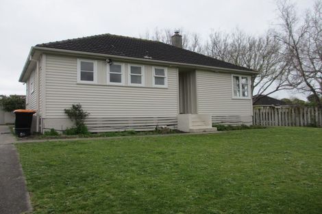 Photo of property in 49 Andrew Avenue, Roslyn, Palmerston North, 4414