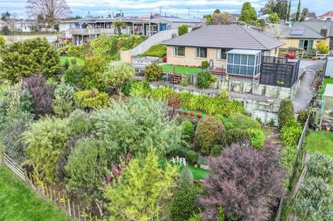 Photo of property in 38 Cambridge Street, Putaruru, 3411