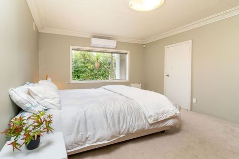 Photo of property in 45 Leven Street, Roslyn, Dunedin, 9010