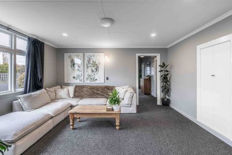 Photo of property in 46 Queen Street, Balfour, 9779