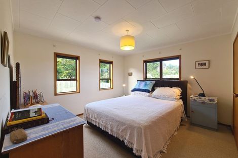 Photo of property in 115 Lillis Lane, Coromandel, 3506