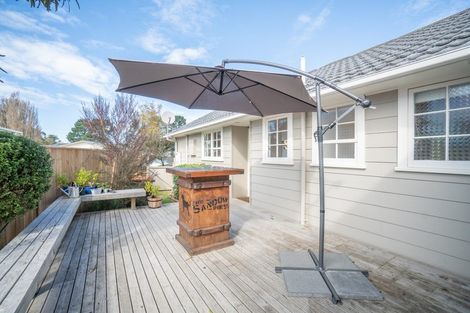 Photo of property in 86 Ruamahanga Crescent, Terrace End, Palmerston North, 4410