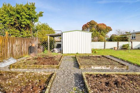 Photo of property in 14 Hamlet Street, Stratford, 4332