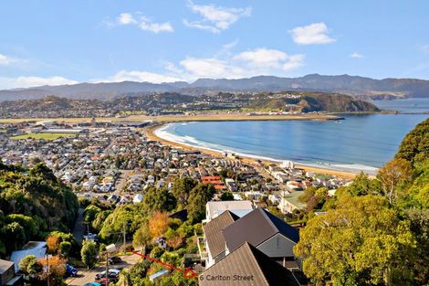 Photo of property in 6 Carlton Street, Melrose, Wellington, 6023