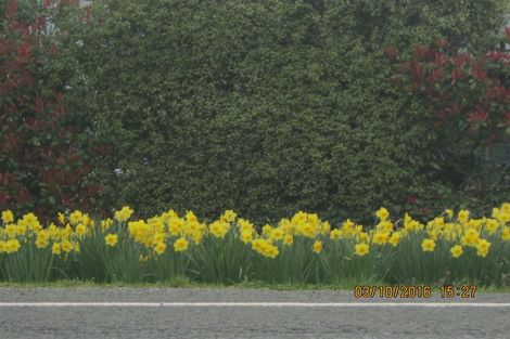 Photo of property in 125 Main North Road, Geraldine, 7930