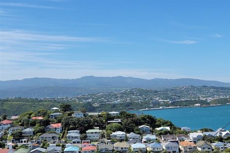 Photo of property in 46 Rakau Road, Hataitai, Wellington, 6021