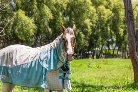 Photo of property in 193 Pine Valley Road, Dairy Flat, Silverdale, 0992