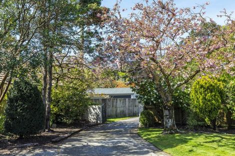 Photo of property in 11b Ashgrove Terrace, Somerfield, Christchurch, 8024