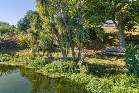 Photo of property in 33 Park Terrace, Blenheim, 7201