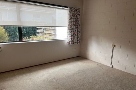 Photo of property in 125 Thirteenth Avenue, Tauranga South, Tauranga, 3112