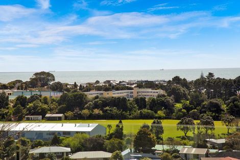 Photo of property in 3a Hillcrest Street, Glen Avon, New Plymouth, 4312