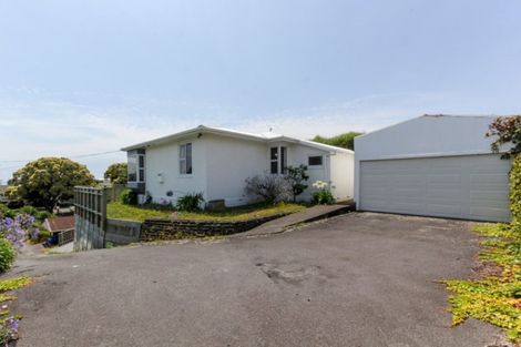Photo of property in 28 Mclean Street, Strandon, New Plymouth, 4312