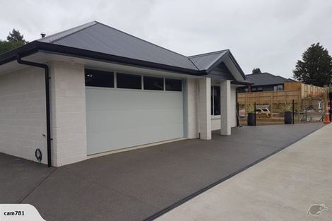 Photo of property in 55b Allen Street, Morrinsville, 3300