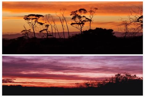 Photo of property in 128e Mauku Road, Patumahoe, Pukekohe, 2678