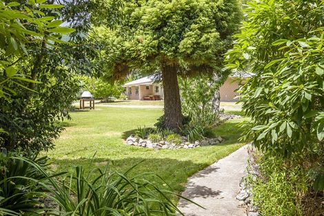 Photo of property in 3-9 Seddon Street, Waikanae, 5036